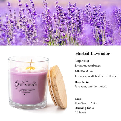 AIKUN 7.5oz Handmade Soy Wax Smokeless Aromatherapy Green Succulent Scented Candle for Desk Decor & Zen Garden Gift Set